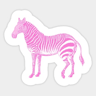 Pink Zebra Sticker